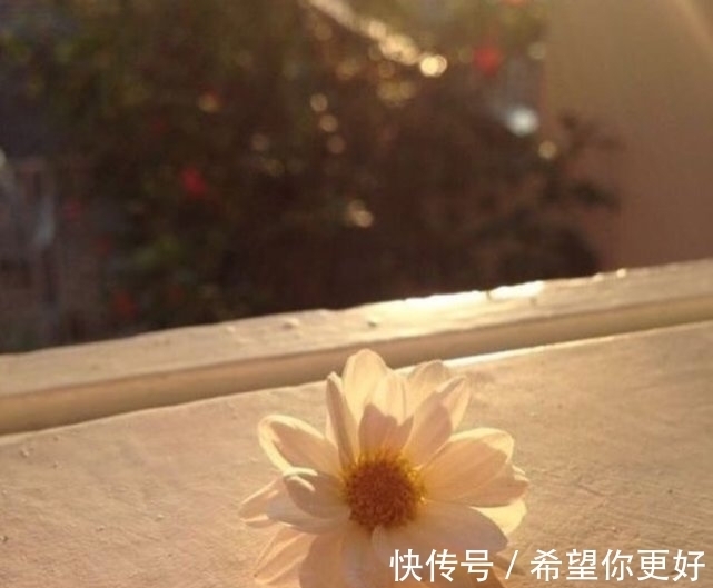 最好的我们|关于成长的深刻文案