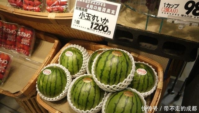 日本|西瓜在日本是奢侈品,为什么会那么贵呢?