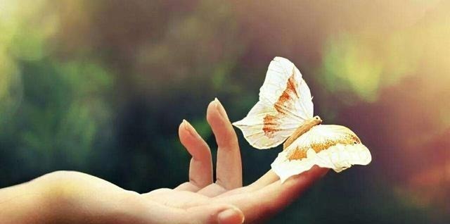 吃亏是福#历史上10大歪理，虽然不够高大上，却歪得很有道理