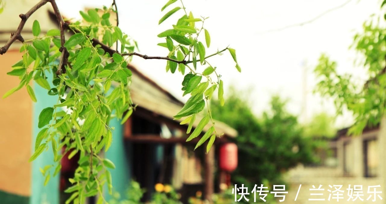 辛弃疾#好暖心的30个诗句,句句精致入心,让人相见恨晚