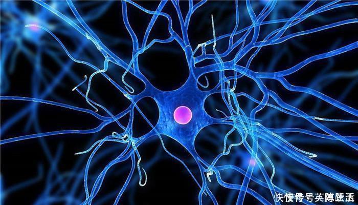 大脑|有趣的老年痴呆测试：章鱼中有一只小鱼，看你能在30秒之内找到吗