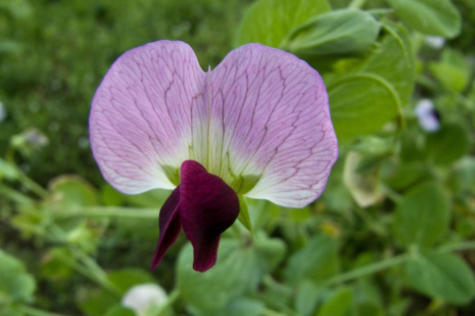朋友|退休之后,真正有福气的人,很少交朋友了