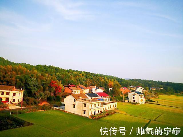 秋韵#【七绝·秋韵】清风伴我不孤行,晨起轩窗有鸟鸣