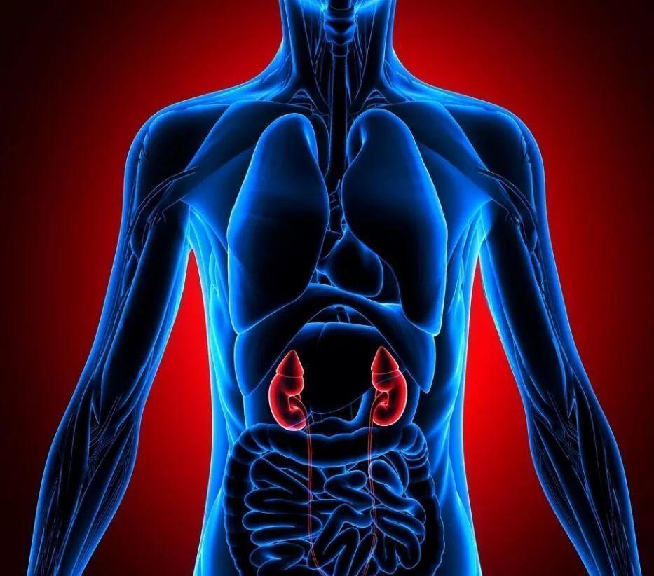 高血压|吃降压药10年,发生肾衰竭!医生指出:他犯了3个错误,值得深思