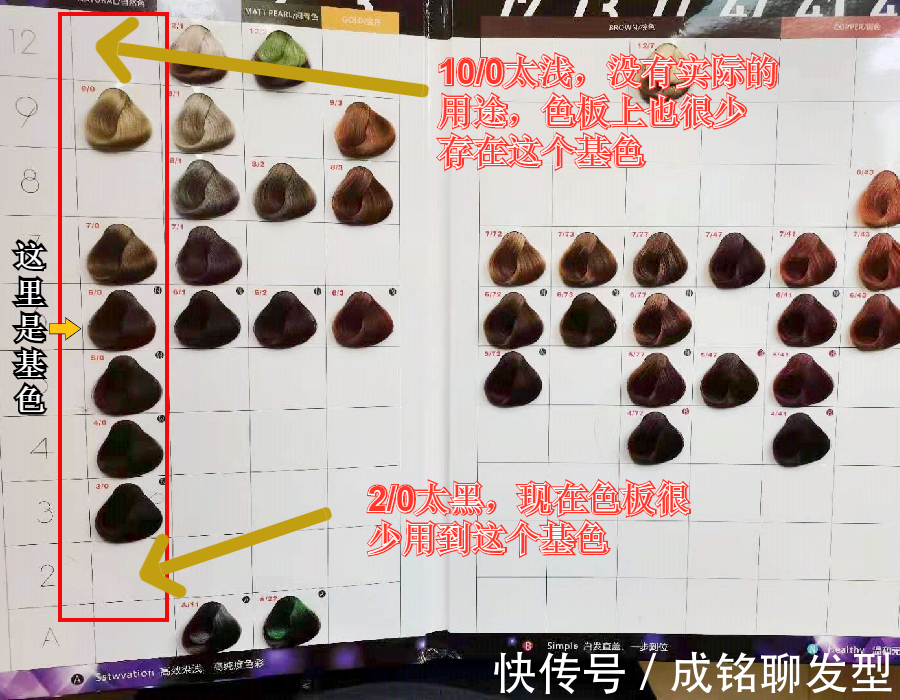 色调|看懂染膏的编号,选色不再翻车,按肤色选择对应的色号染就对了