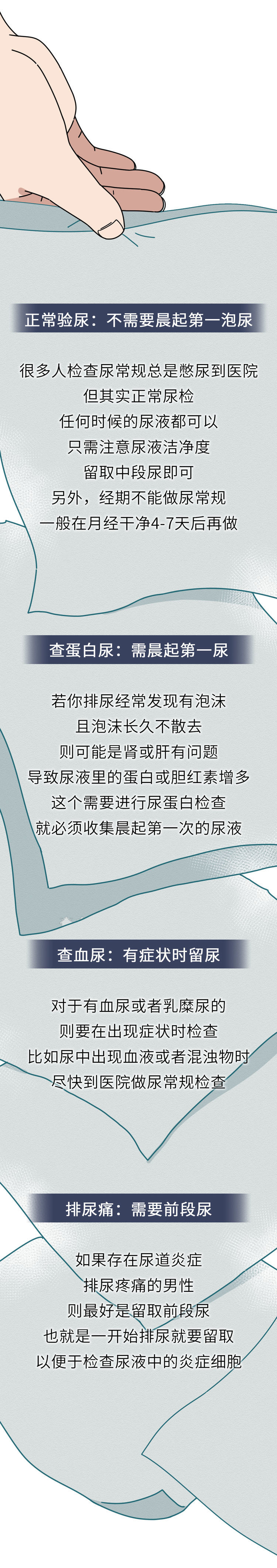 尿液的颜色越浅越好？尿越多说明肾脏越健康？尿液的秘密一文说清