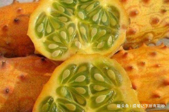 抗衰|长寿老人都爱吃的4种养生食物,补充营养,排毒抗衰,增强免疫力