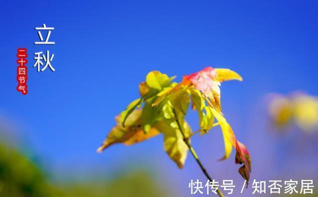 凉爽|早立秋把扇丢,晚立秋热不休,8月7日立秋,是早立秋还是晚立秋