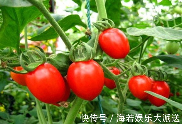 三七花|想长寿，就要排毒，常吃3种食物，清热排毒，滋肝补肾，滋补身体