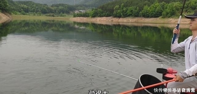 玉米|钓翘嘴知道这些,会让你收获满满,钓的非常过瘾