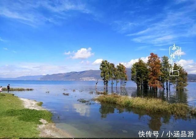 从一颗到500多盆,遇见多肉后,满眼全是你!