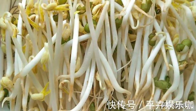 卫生|家庭自制绿豆芽，教你5个小秘诀，豆芽4天就能吃，安全卫生又营养