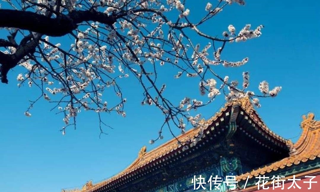 诗人$杜荀鹤很著名的一首诗，短短28字控诉社会黑暗，读来令人感愤