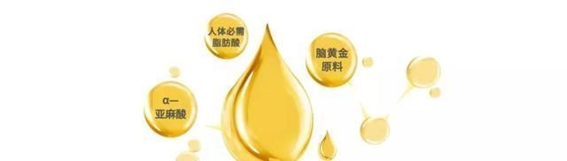 为什么怀孕后有些孕妈妈会发现自己忘性大了