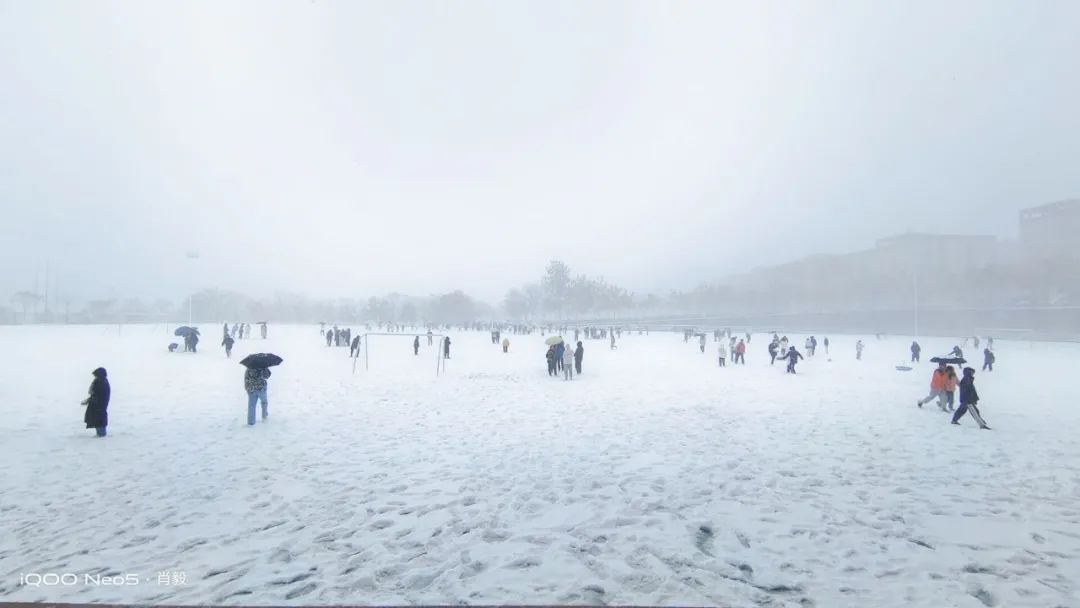 初雪|定格·山东商院的初雪