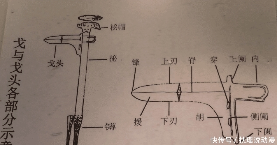 执干戈以卫社稷？为什么大多兵器由戈演变而来