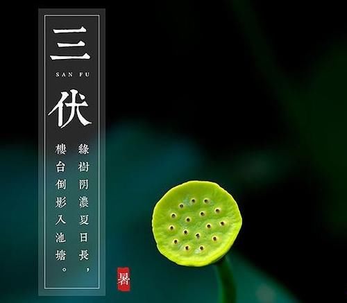 冷饮|夏三伏养生,谨记“三减、四加、五个点”,一年少生病,多多健康