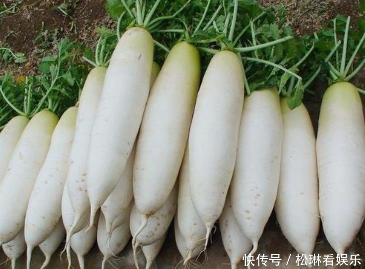 维生素|六种秋天该吃的蔬菜,便宜实惠,是每个家庭都能负担得起的