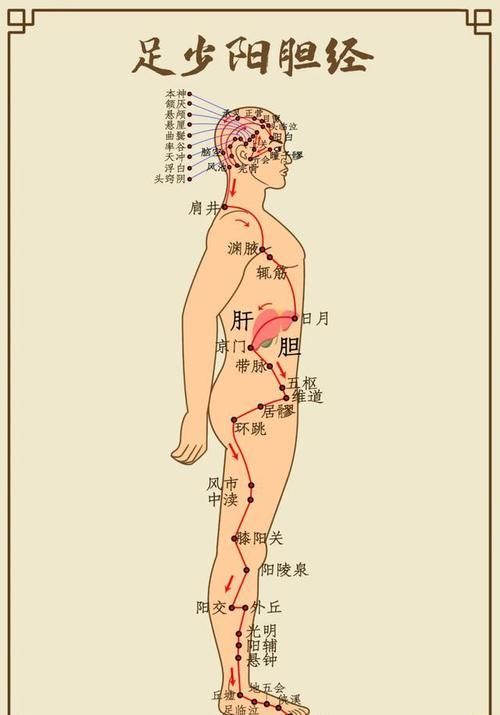 肝经|这个地方通了，大腿、肚子和背竟然都瘦了，脾胃也好了，不信试试