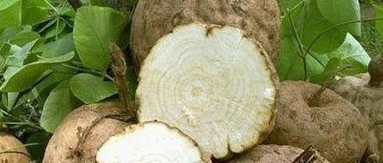 女人|女人要善待自己,多吃6种“零嘴”,补充雌激素,调节身体还美容