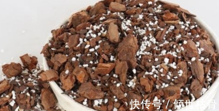 用对方法养花很关键!植物上盆前“掺”它们,土壤就不会结块