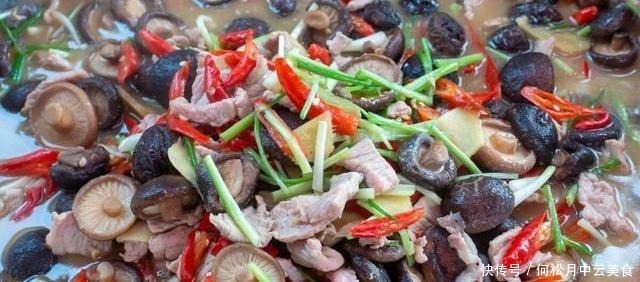 蘑菇炒肉,营养丰富鲜嫩可口,提高免疫力的家常美食,做法超简单