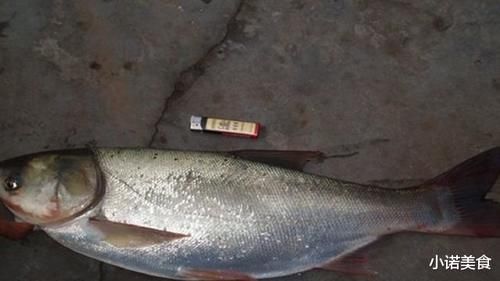 我国公认“最难吃”的6种鱼,如果你全部吃过,我敬你是条汉子