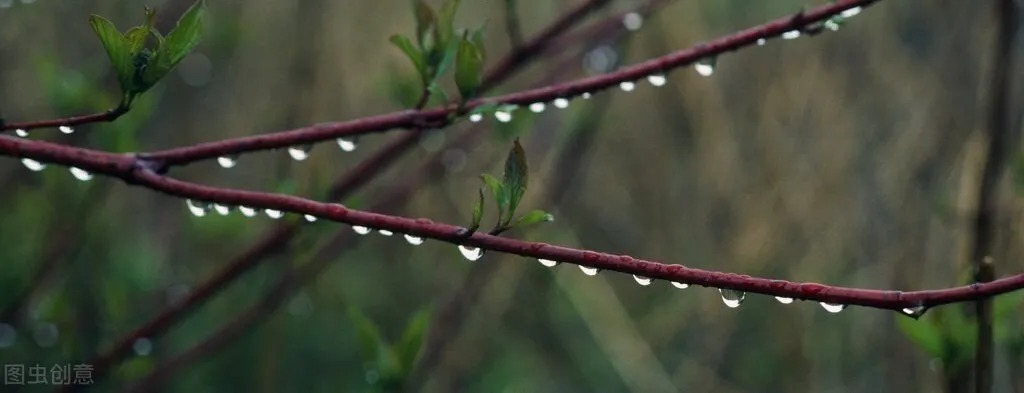 小脑萎缩|共济失调的中医辨证