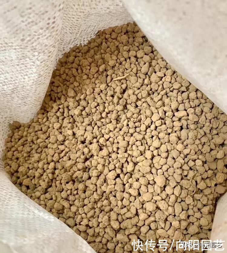酸性|养盆景，养多肉，必不可少的赤玉土，辅助发根，促进生长发育