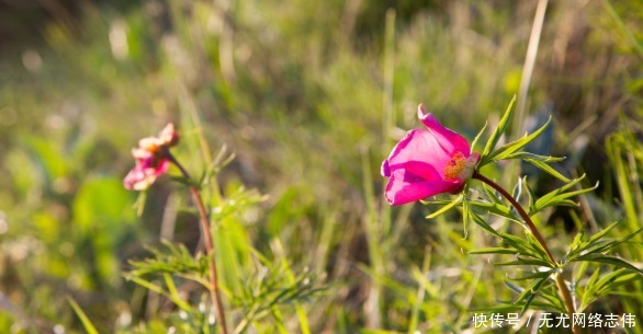雍正|一个家庭在落败之前,家里会出现这些“特征”,早知道早好