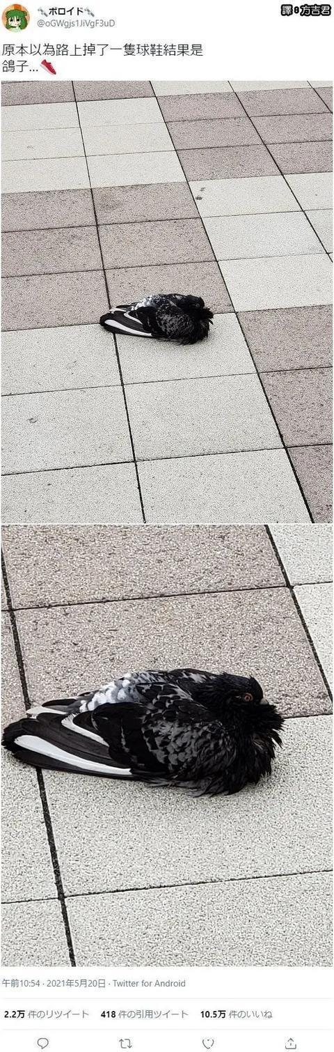 |甜粽和咸肉粽要打起来了 冷段子1830