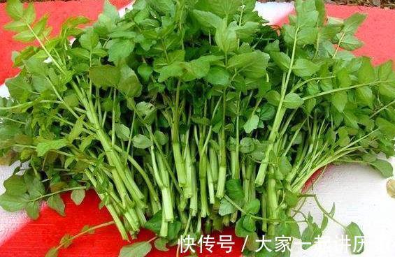 清洗干净|这道汤成本15元，是“天然清燥救肺汤”，常吃润肺驱火，抗衰老