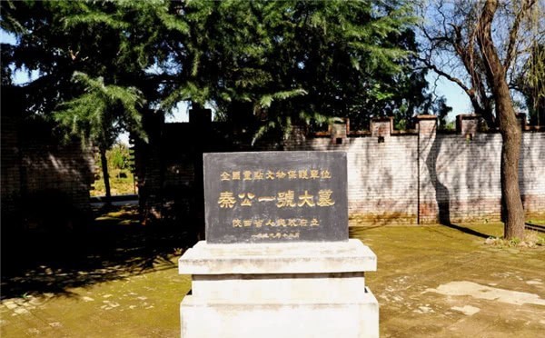 古怪农田千年来寸草不生,老汉随手一挖,却发现我国最骇人古墓