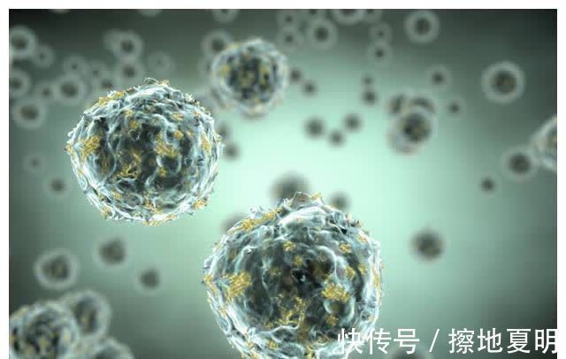 菠菜|米饭二次加热会“致癌”?医生提醒:这5种食物,最好别加热