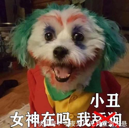 小丑|小丑竟在我身邊,抖音所有的圖(精心整理)~