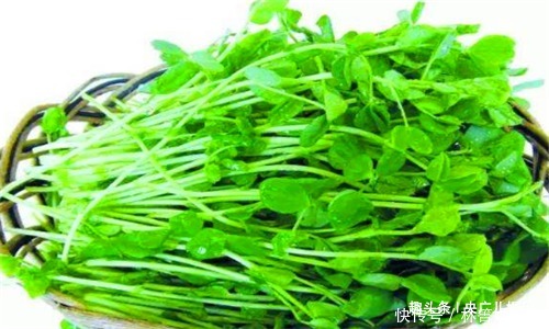 荠菜|人到中年,推荐吃3种食物,排毒护肝,清热明目,增强抵抗力