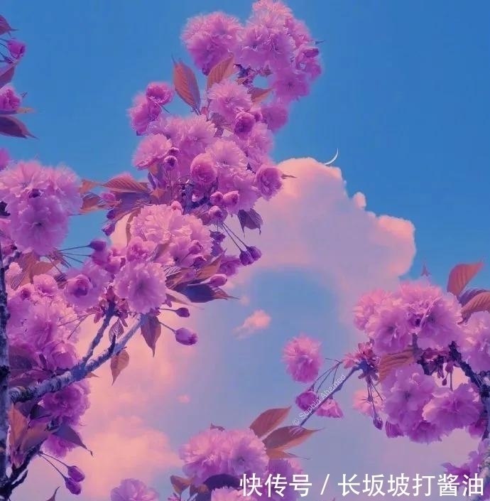 不合群|性格孤高不合群，却懂得洞悉人心的生肖：城府虽深，但值得深交