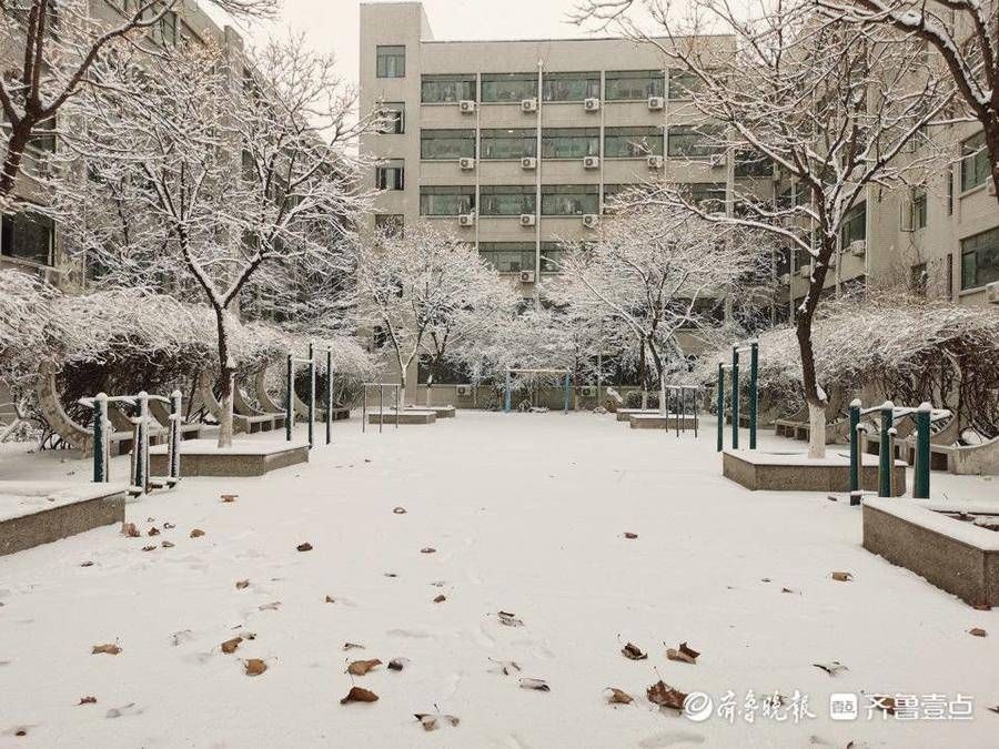 大学生|大雪下的驻济学生：校园里肆无忌惮滚雪球，那是我们的青春啊