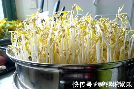出芽率|终于找到发绿豆芽出芽率高的方法了,4天就能吃,口感脆嫩又健康