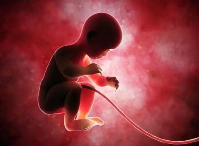 胎动|胎儿在孕妈肚子里抖动是怎么回事可不是你以为的胎动,别弄错了