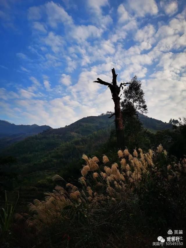 盘瓠|“盘古文化区”?漳州长泰北部山地发现“盘古信仰”