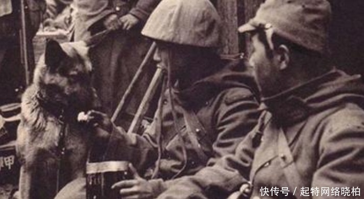 海军|待遇差别巨大的日本海陆部队，一个食不果腹，一个大鱼大肉