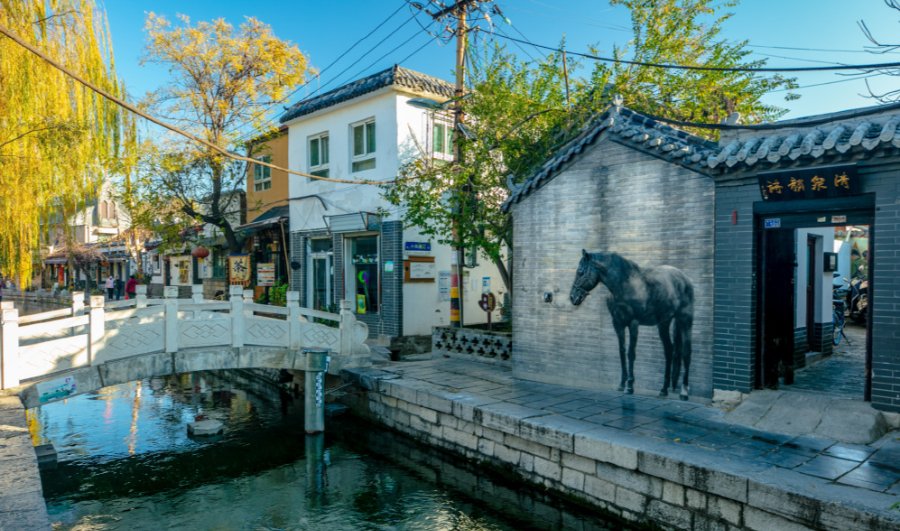 糖醋鲤鱼|如果给济南的冬天选一种味道，你会选什么？