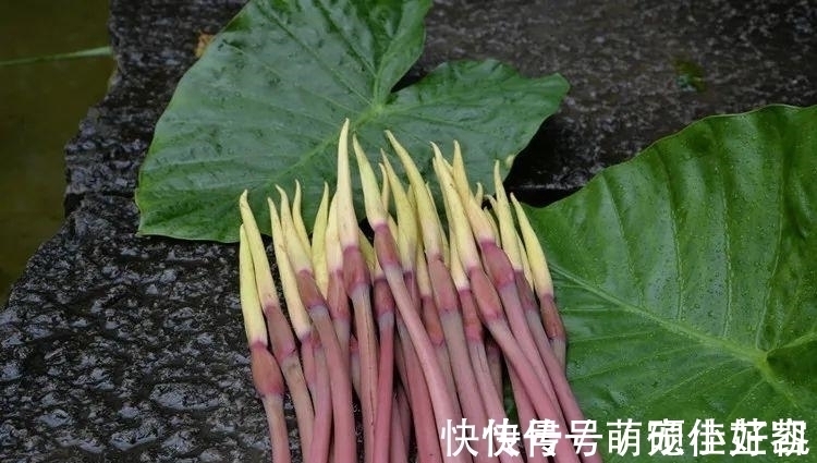 腊肉|这种野菜南方独有，专门吃花，味道有点麻，配腊肉炒是一绝