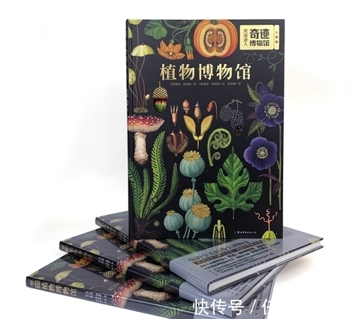 小主人|童书·新书|10岁开始的经济学