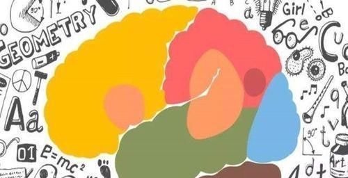 右脑|孩子有这3种表现,说明右脑很发达,好好培养将来更容易成为学霸