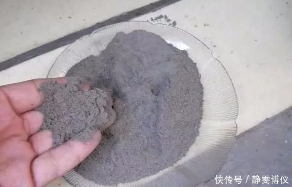 养花不用买土,用这几样东西掺一块儿,种什么花草都旺