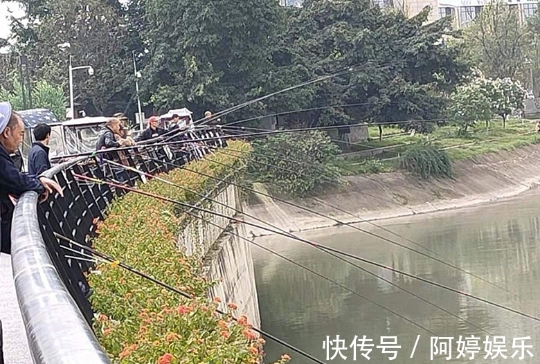 成都锦江上壮观的风景线:钓鱼竿一字排开!