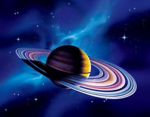 致命弱点 同样裸露在太空,人类仅存活15秒,水熊虫淡定产崽,为何这么强