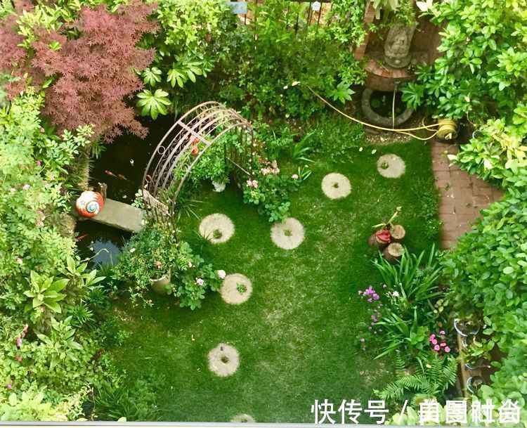 都市|三年前买了这30㎡小院,亲手改造成小花园,在繁华都市过田园生活